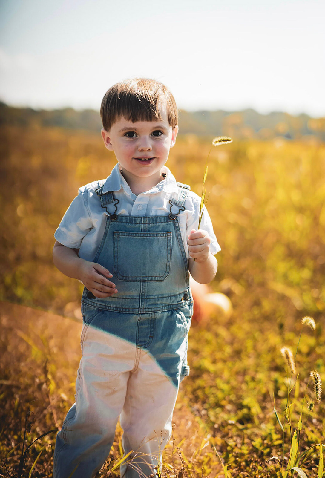 Fall portraits in a pumpkin patch with Chloe Wead Photography at Temple Hall Farm in Leesburg, VA
